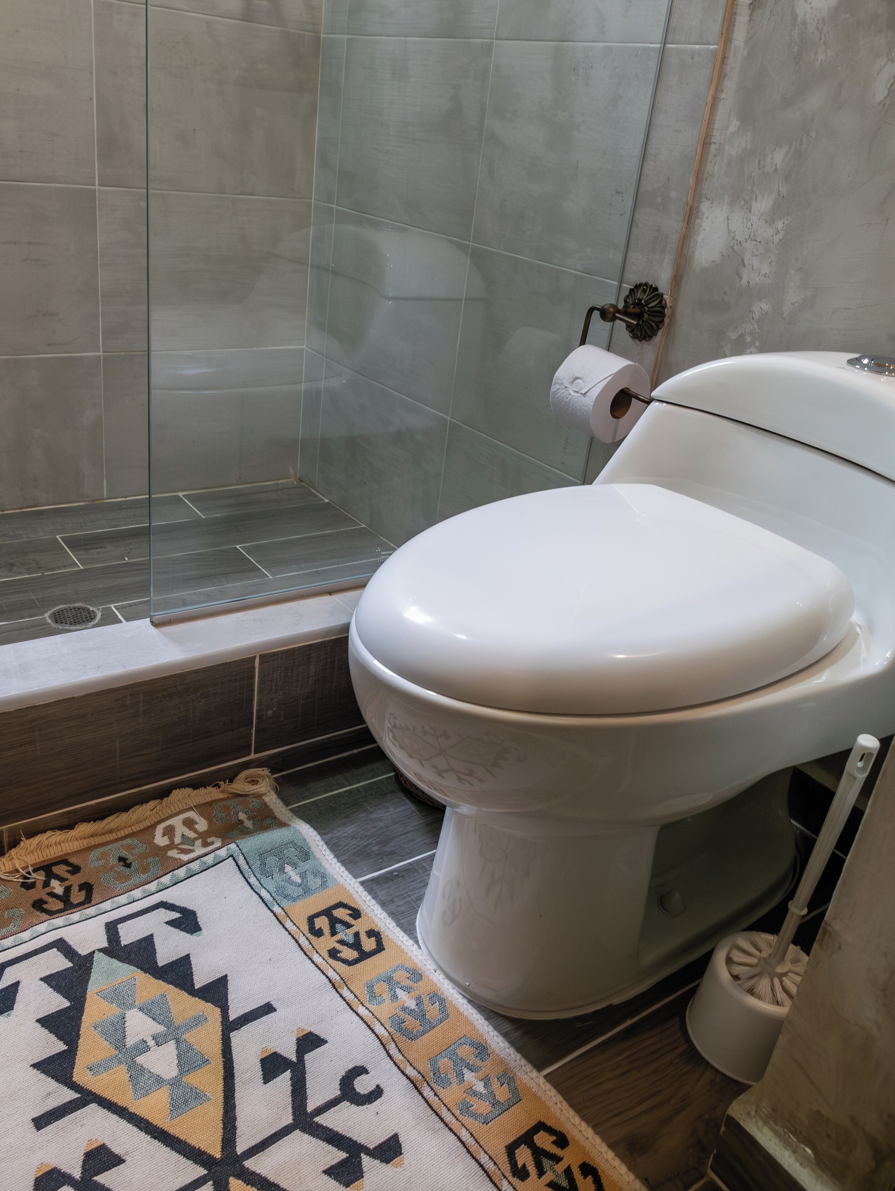 A bathroom with a toilet, a shower, and a patterned rug.