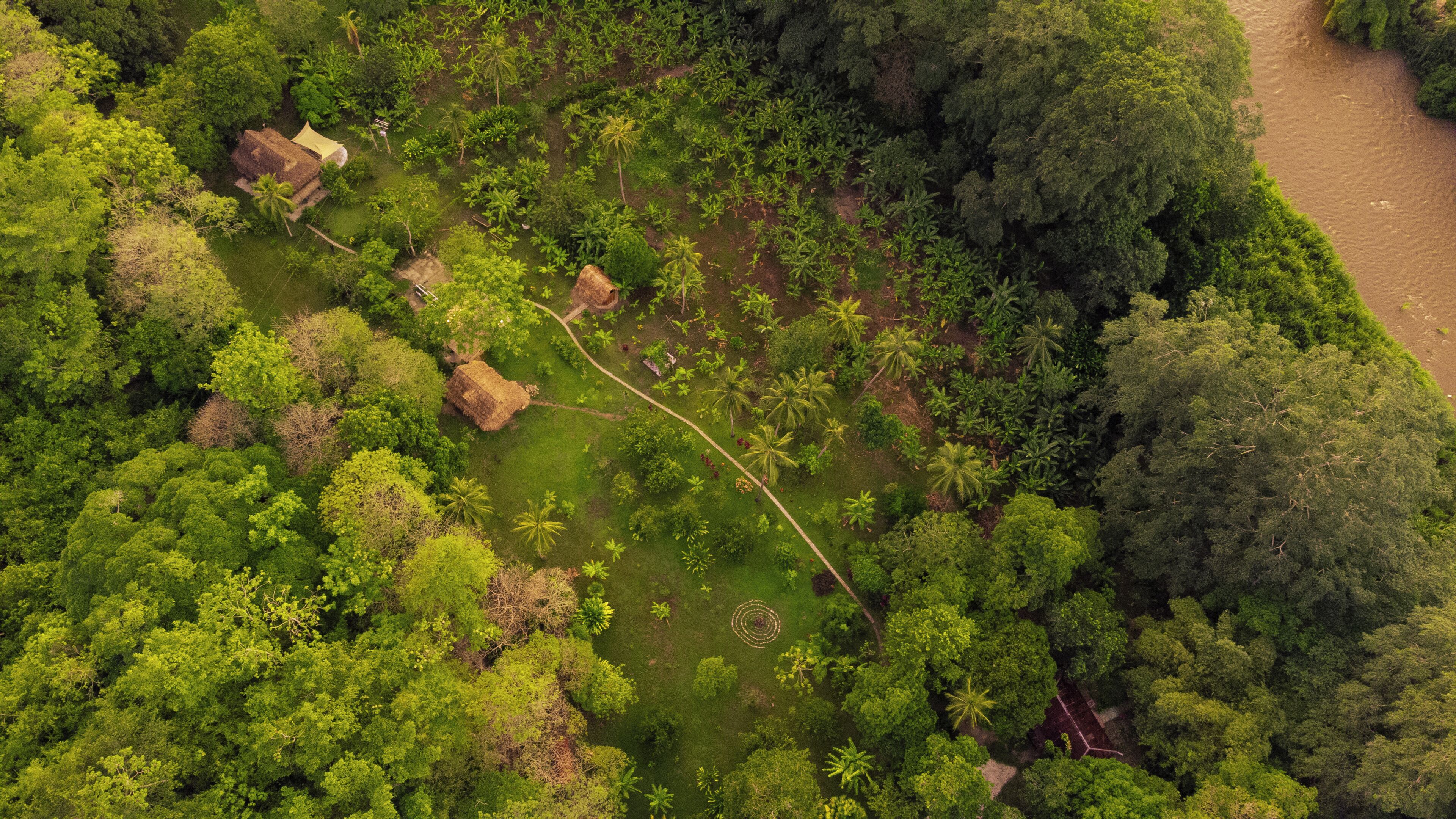 An aerial view of a lush green landscape with scattered buildings and a river.