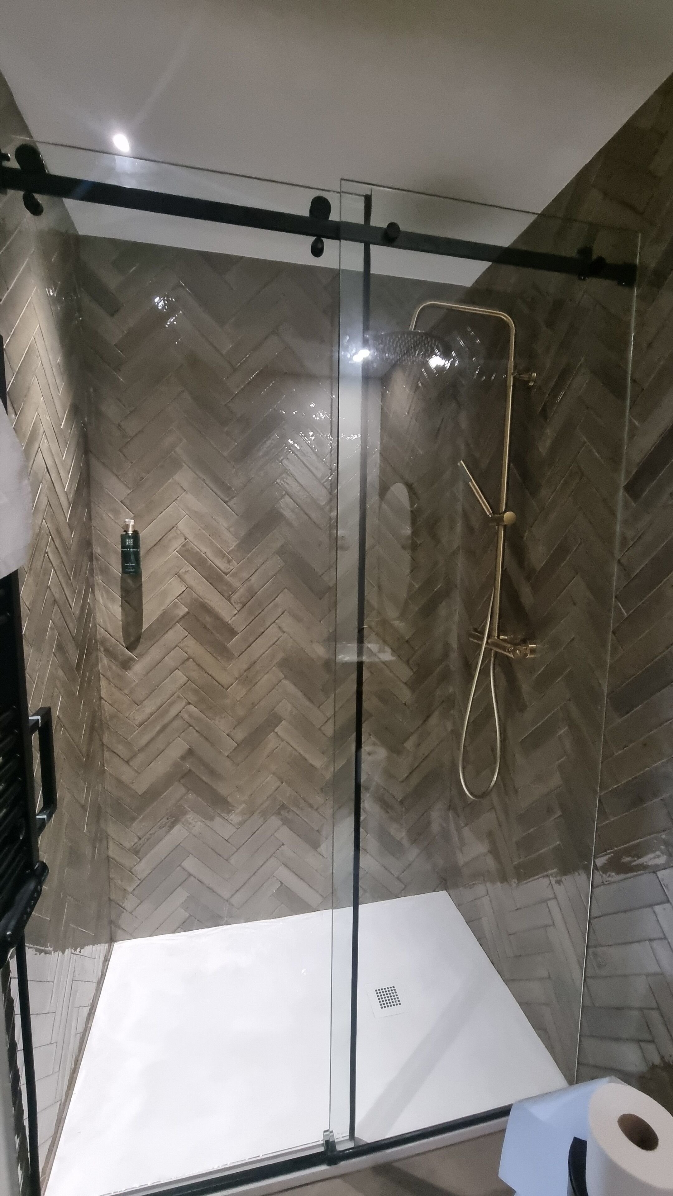Shower, hair dryer, towels, shampoo
