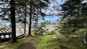 Property grounds - Whispering Spruces; Cozy Studio with Queen Bed & W (South Thomaston)