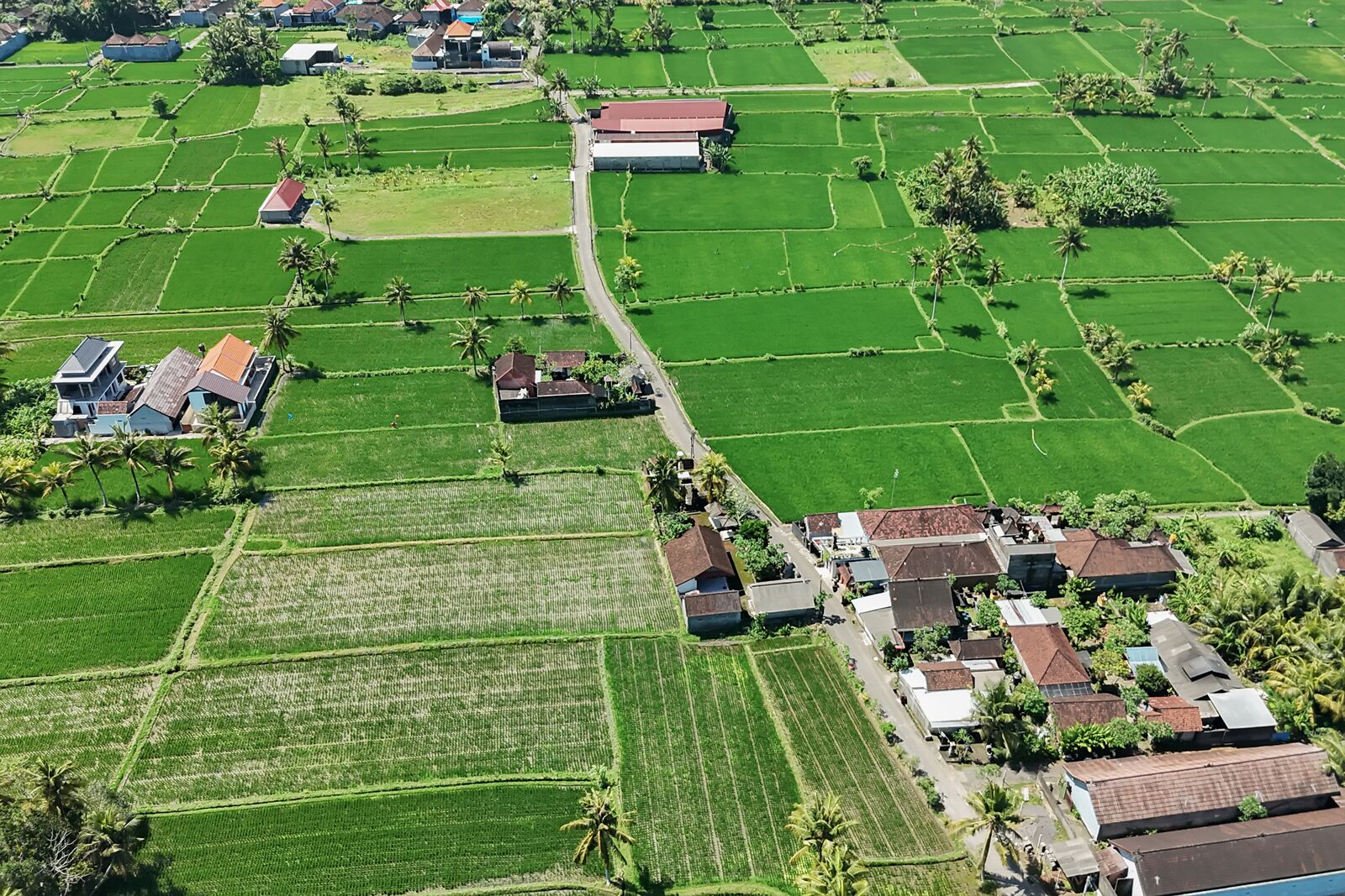 Luchtbeeld van een landelijk gebied met groene velden, huizen en enkele gebouwen.