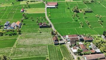 Luchtbeeld van een landelijk gebied met groene velden, huizen en enkele gebouwen.