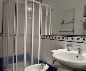 Shower, hair dryer, bidet, towels