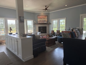 Smart TV, fireplace, books
