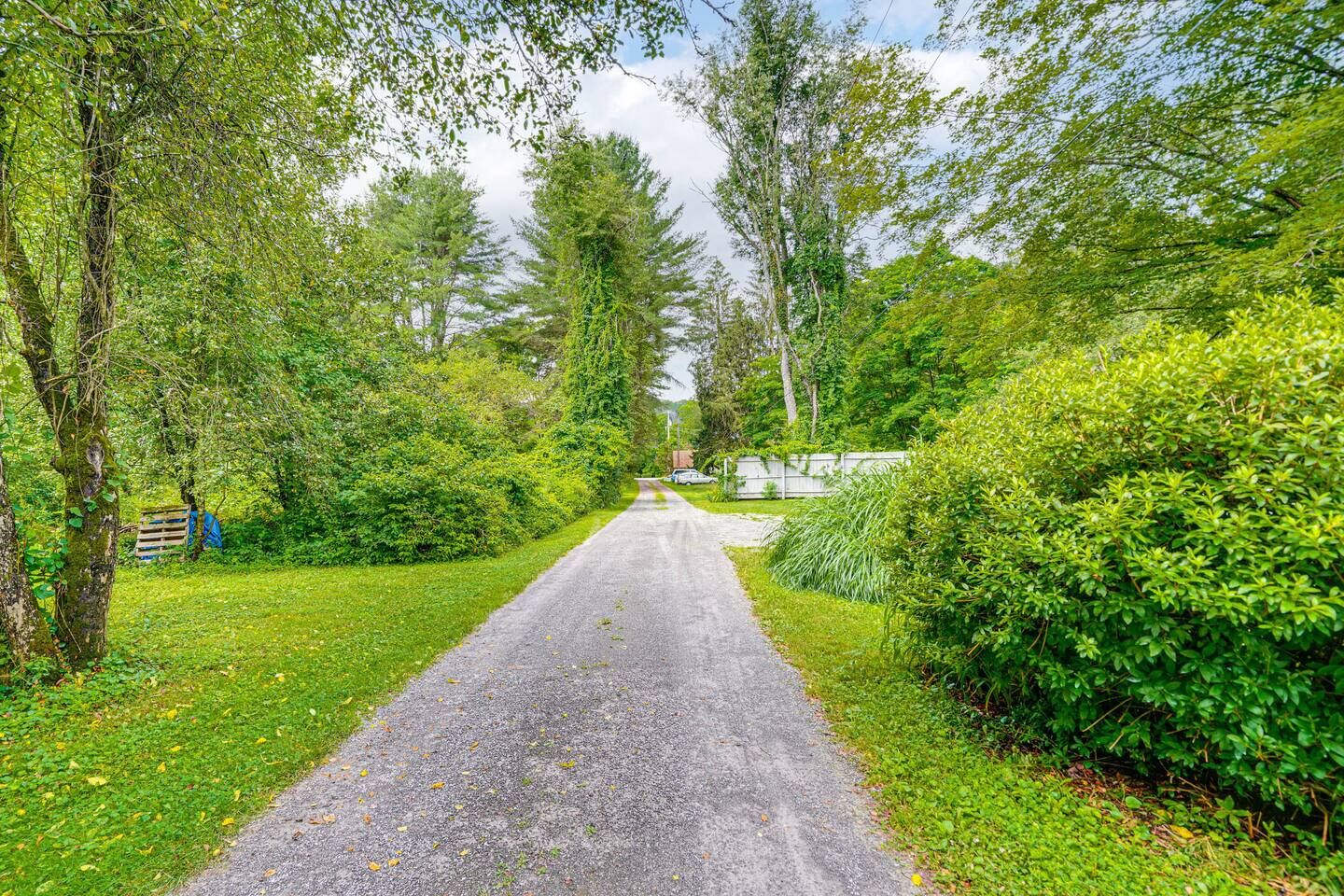 Une route asphaltée bordée d’une végétation luxuriante et d’arbres, qui mène à un quartier résidentiel.