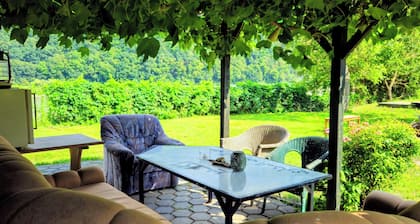 Donauhaus - Natur, Kultur, Entspannung & Sport