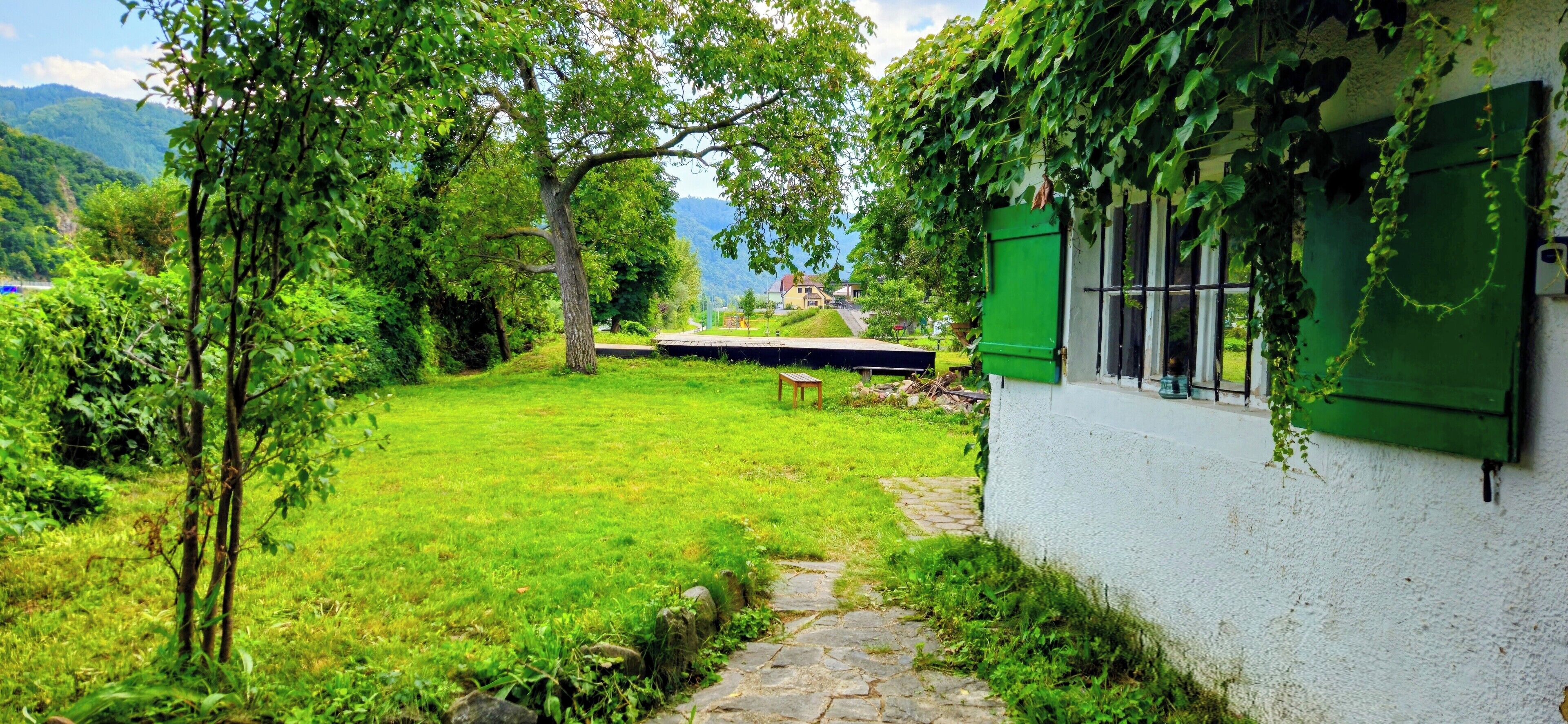 Een weelderige groene tuin met een pad van stenen dat leidt naar een bank.
