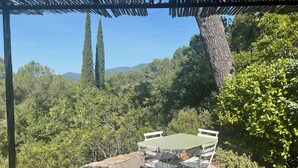 Un espace extérieur aménagé avec une table et des chaises, entouré de verdure et d’arbres.