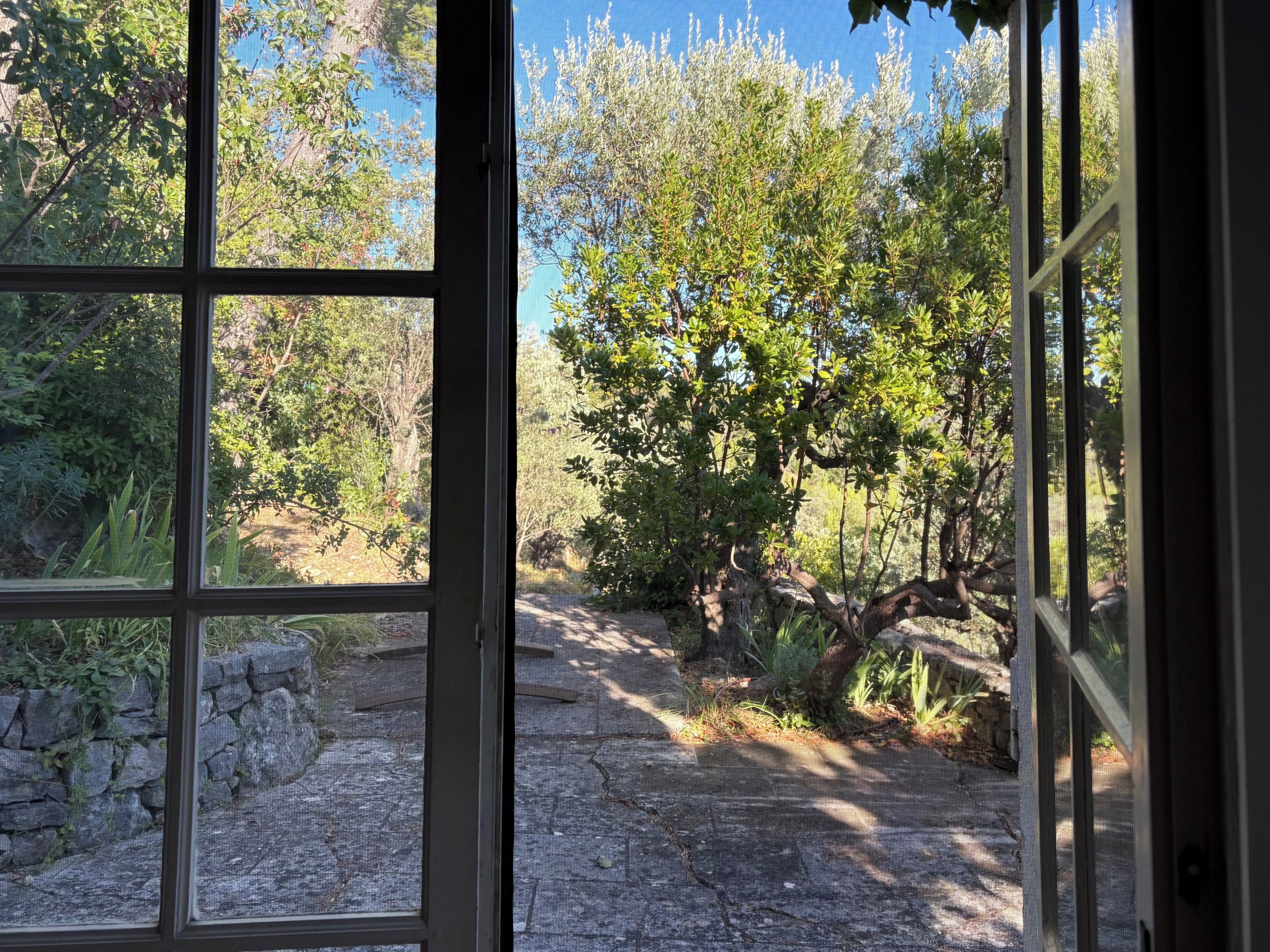 Une vue à travers une fenêtre, avec un mur de pierre et un chemin bordé d’arbres.