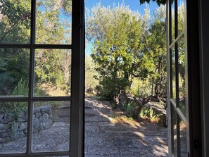A view through a window with a stone wall and a tree-lined path.
