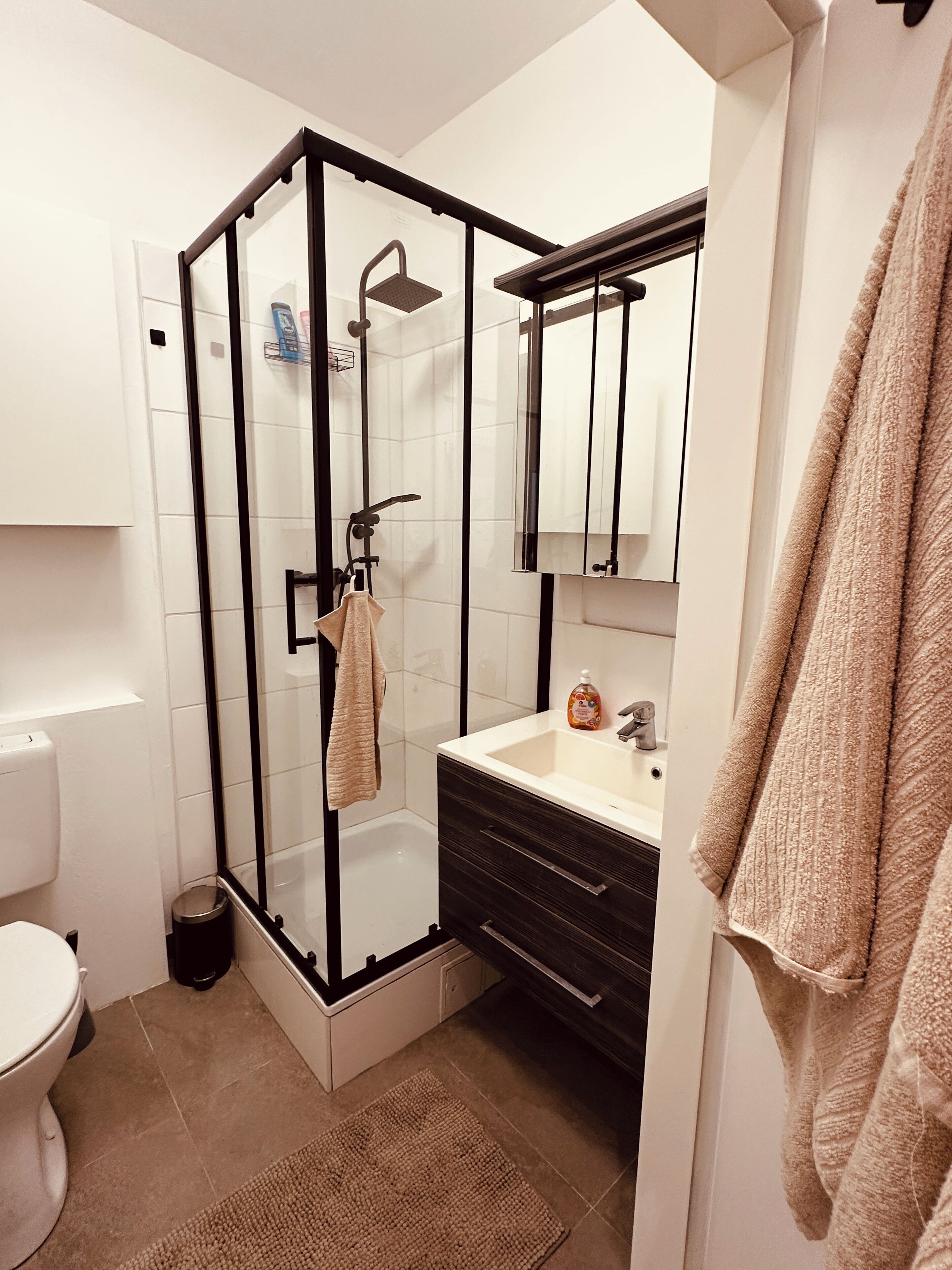 Sèche-cheveux, serviettes fournies, savon, shampoing