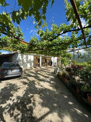 Property grounds - Emily Cottage House in Gjirokaster 🇦🇱 (Kolonjë)