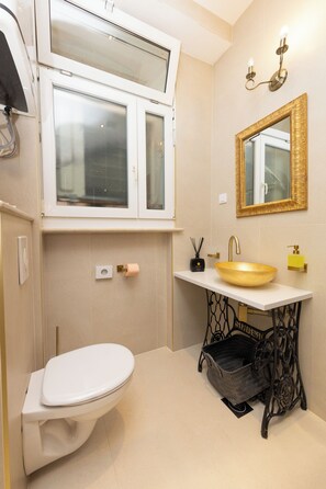 Douche, séchoir à cheveux, serviettes fournies, savon