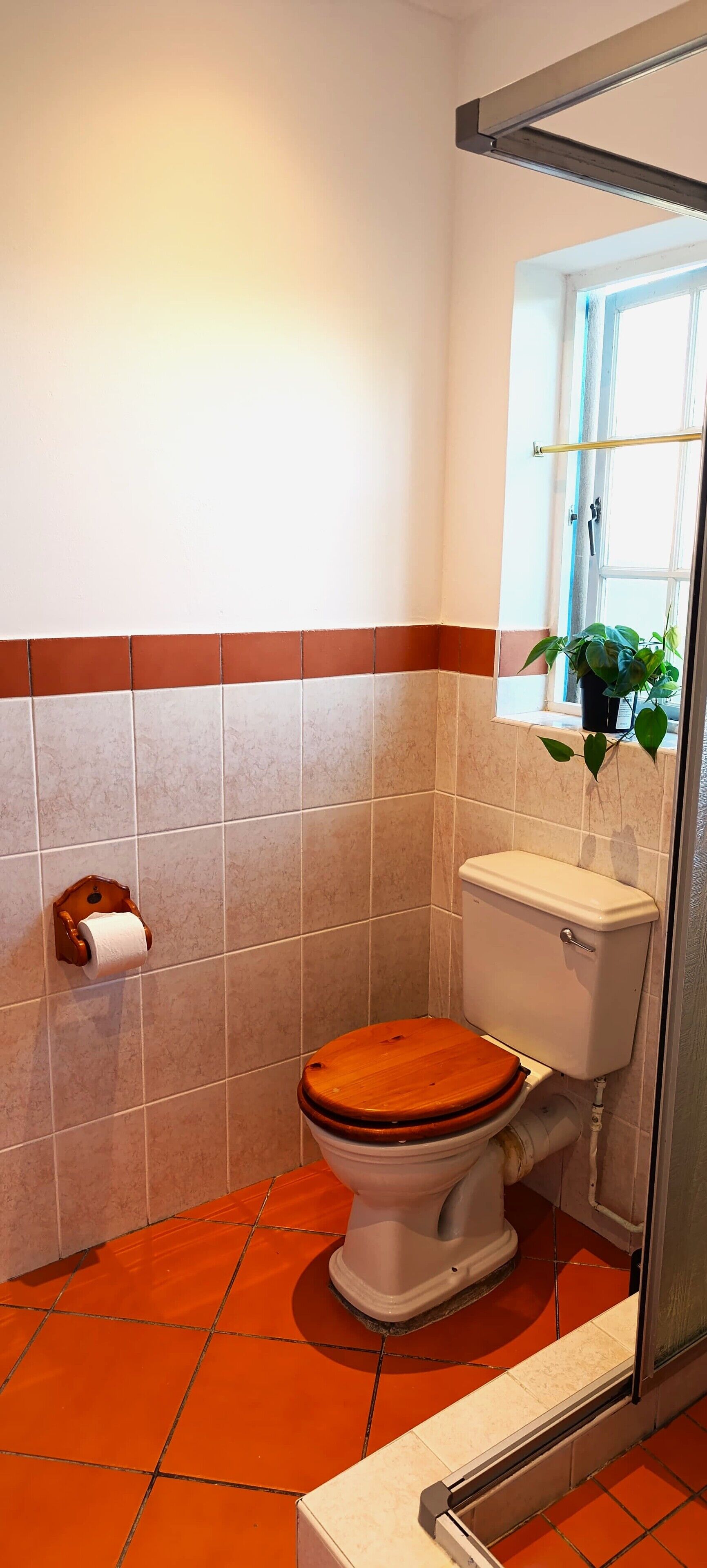 Une salle de bain avec des toilettes, un rouleau de papier toilette, une plante en pot et une fenêtre.