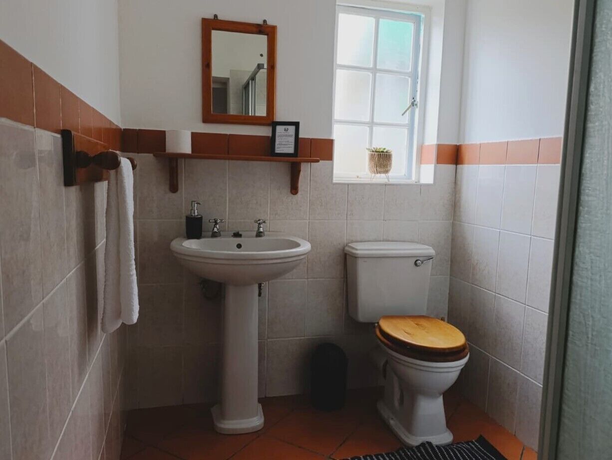 A bathroom with a pedestal sink, toilet, and a small window with a plant.