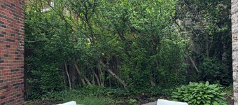 Charming Pittsburgh Getaway - Private Home - 2 Beds