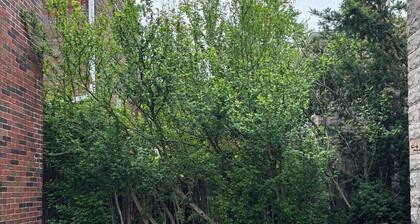 Charming Pittsburgh Getaway - Private Home - 2 Beds