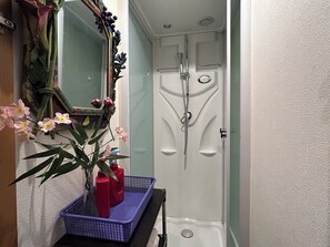 Une salle de bain avec une douche, un miroir et un vase rempli de fleurs.