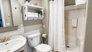 Hair dryer, towels, soap, toilet paper