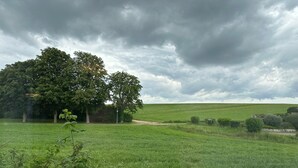 Eine grüne Wiese mit Bäumen und einem bewölkten Himmel.