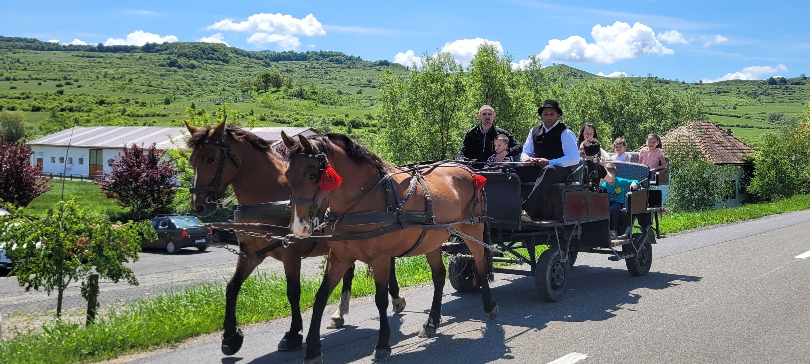 A horse-drawn carriage with passengers on a road, surrounded by greenery and hills.
