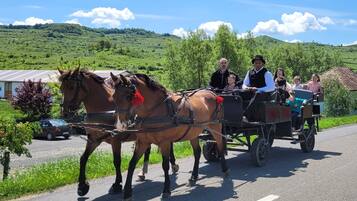 A horse-drawn carriage with passengers on a road, surrounded by greenery and hills.