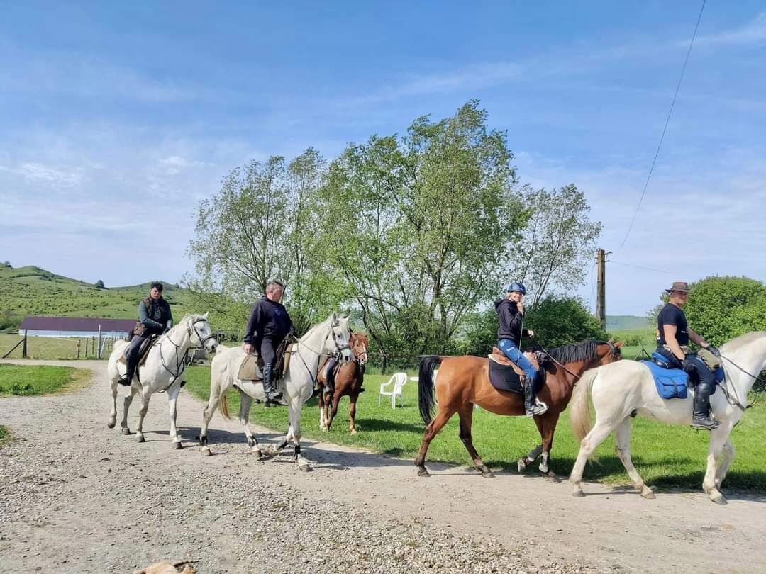 A group of people riding horses on a gravel path with greenery and trees in the background.