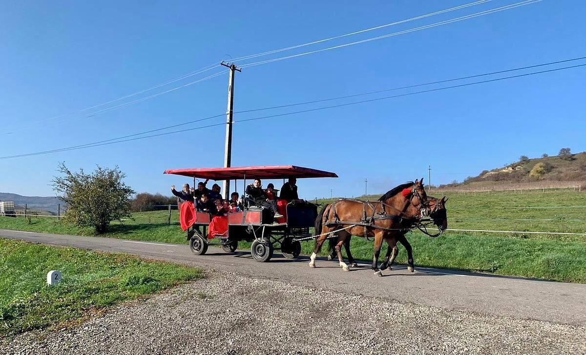 A horse-drawn carriage with passengers on a rural road.