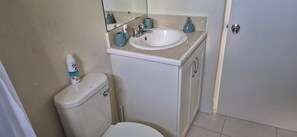 Shower, towels, toilet paper
