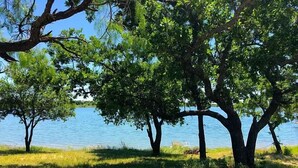 Un paysage paisible au bord d’un lac, avec des arbres et de l’herbe.