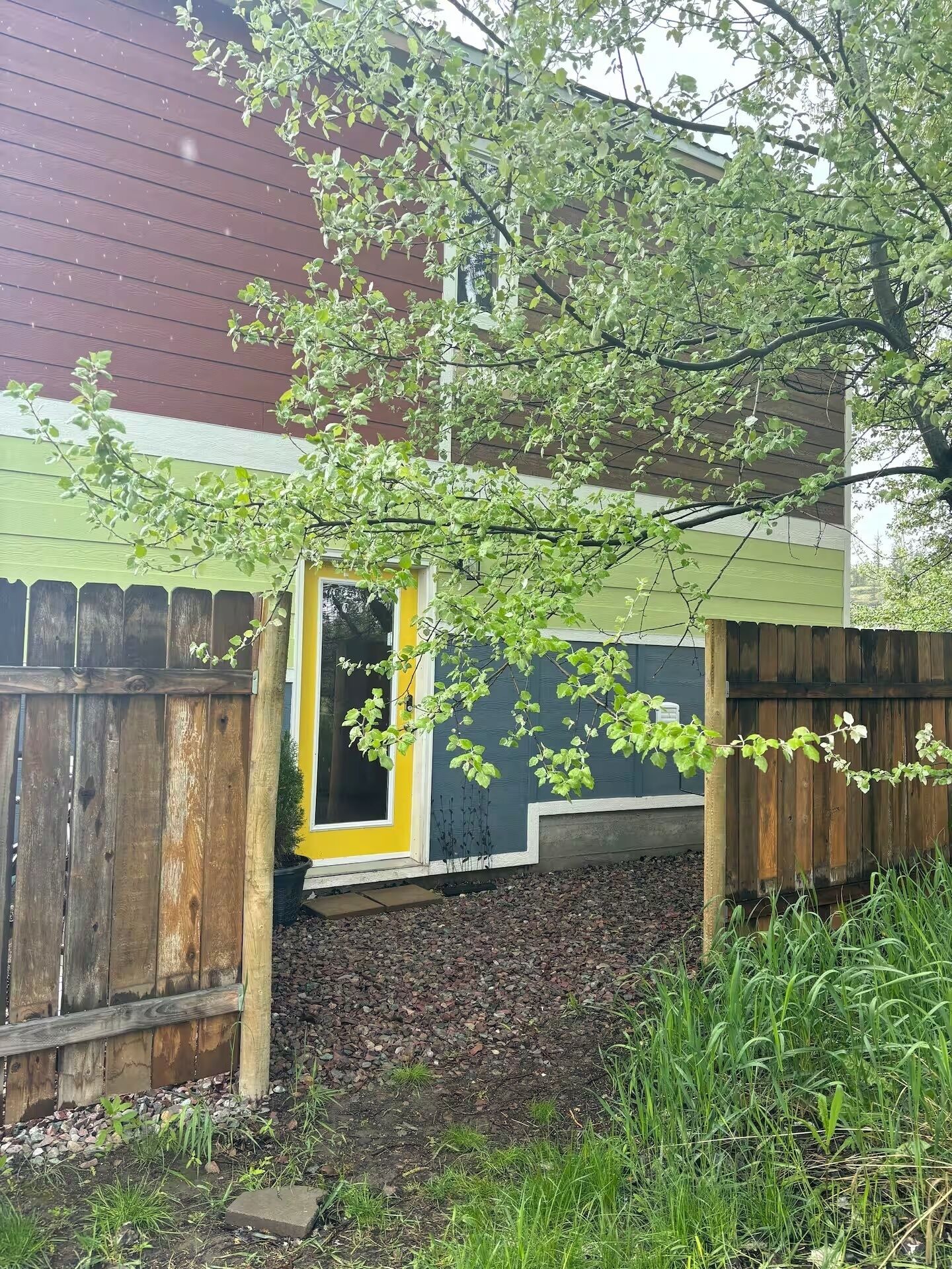 A house with a wooden fence, a yellow door, and a tree in front.