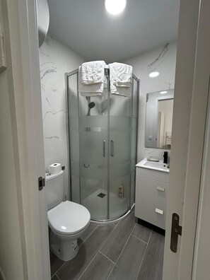 Sèche-cheveux, serviettes fournies, savon, papier toilette