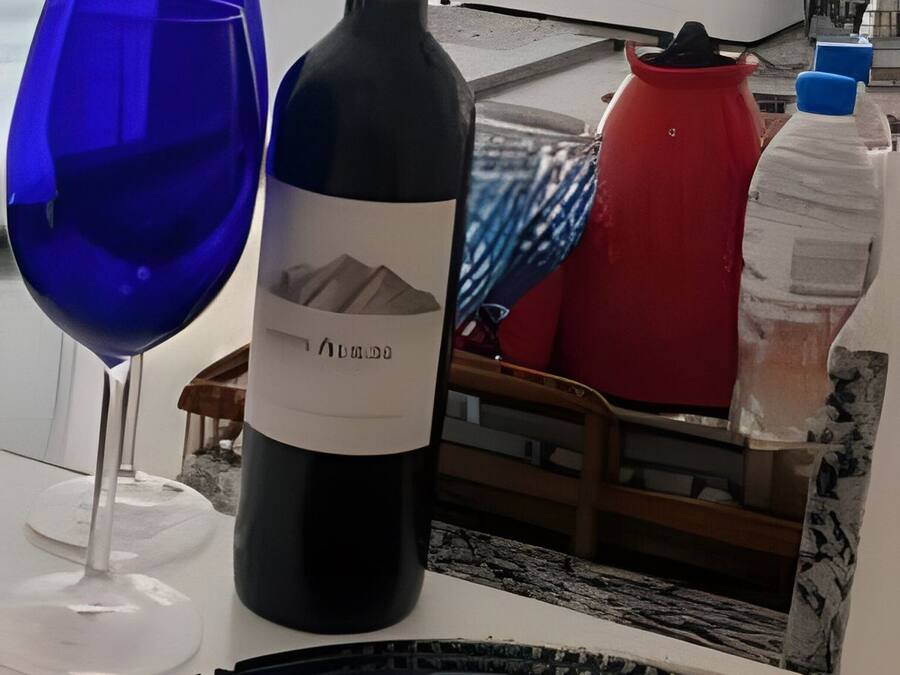 Una botella de vino y una copa sobre una mesa, con vista a un balcón y mobiliario exterior.