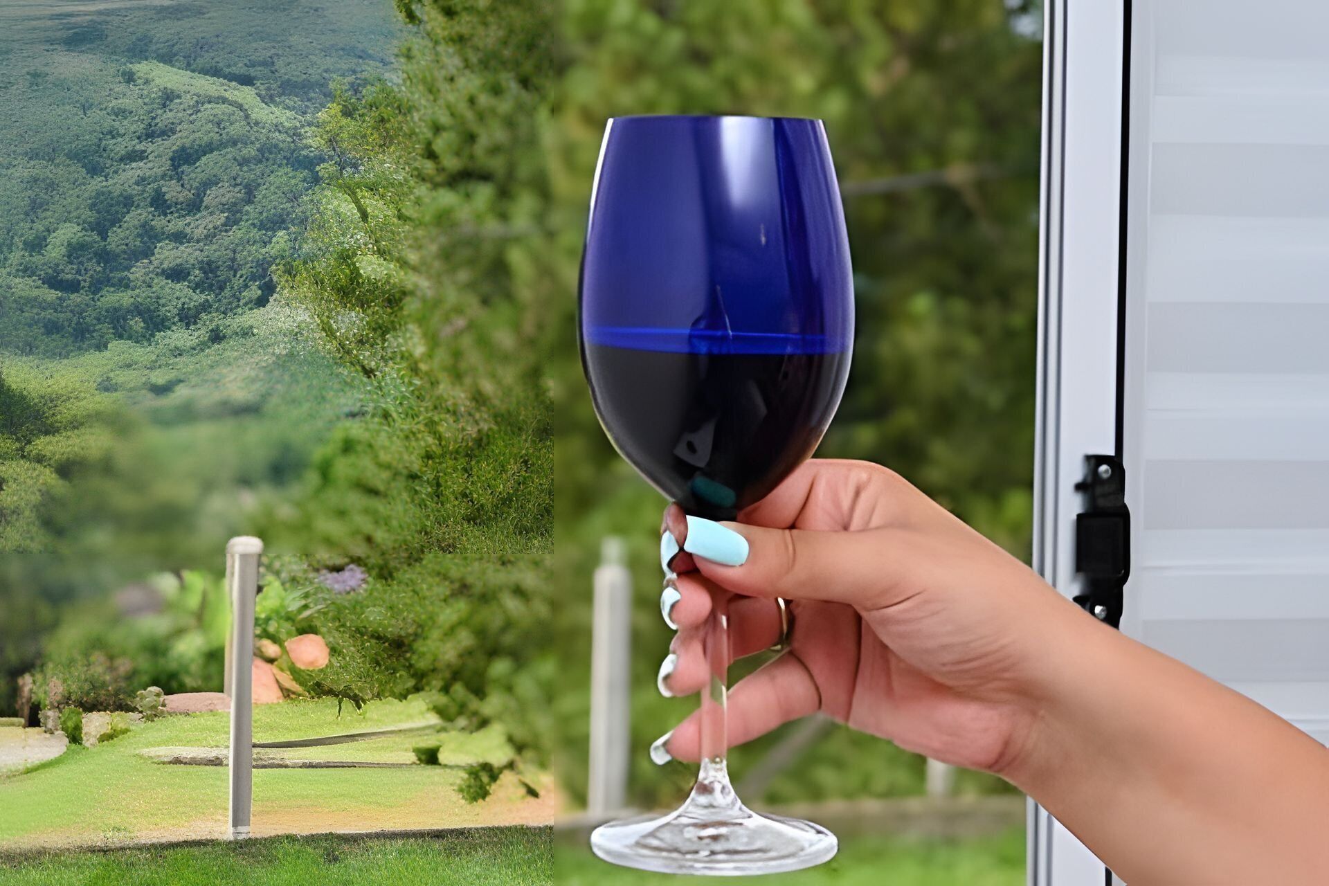 A hand holding a wine glass with a view of a lush green landscape in the background.