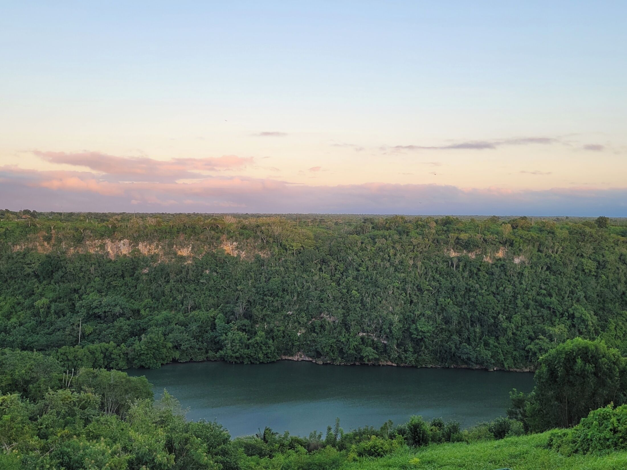Un paesaggio naturale con una fitta foresta e un lago.