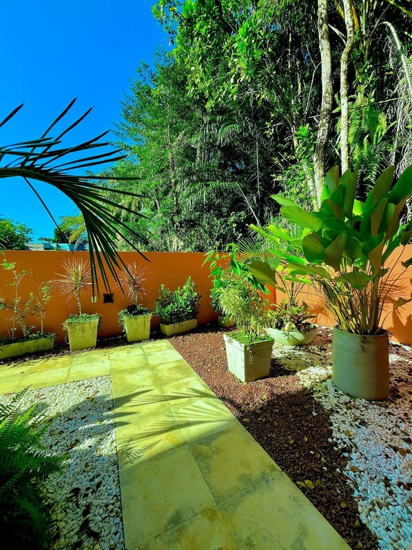 A garden with potted plants, a pathway, and a wall.