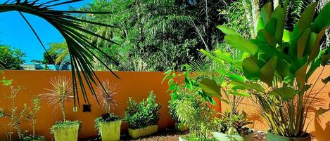 디자인 아파트 | 숙박 시설 구내