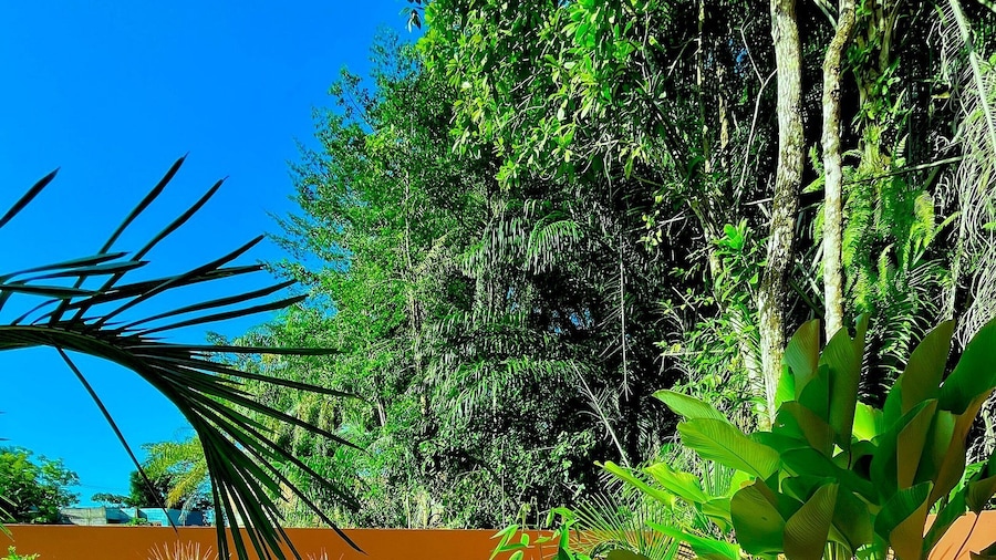 Residencial Papagaios