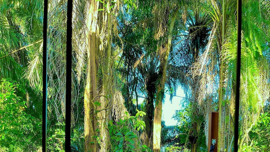 Residencial Papagaios