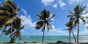Una spiaggia con palme e l'oceano.