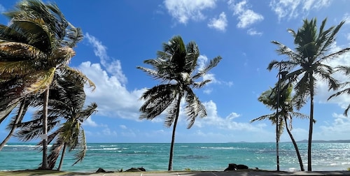 Intimate Oceanfront Studio with Courtyard & Beach Access