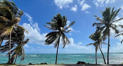 Intimate Oceanfront Studio with Courtyard & Beach Access