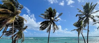 Intimate Oceanfront Studio with Courtyard & Beach Access