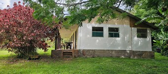 ฮาเร คิวี