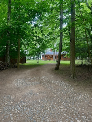 A gravel path leading to a cabin surrounded by trees.