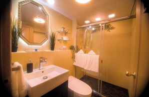 Hair dryer, towels, soap, toilet paper