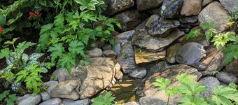 Quiet 2-bedroom house in the woods near Charlottesville, VA
