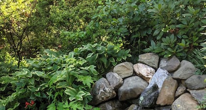 Quiet 2-bedroom house in the woods near Charlottesville, VA