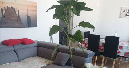 Appartement spacieux et équipé à 5 minutes du centre et du chùteau de CompiÚgne