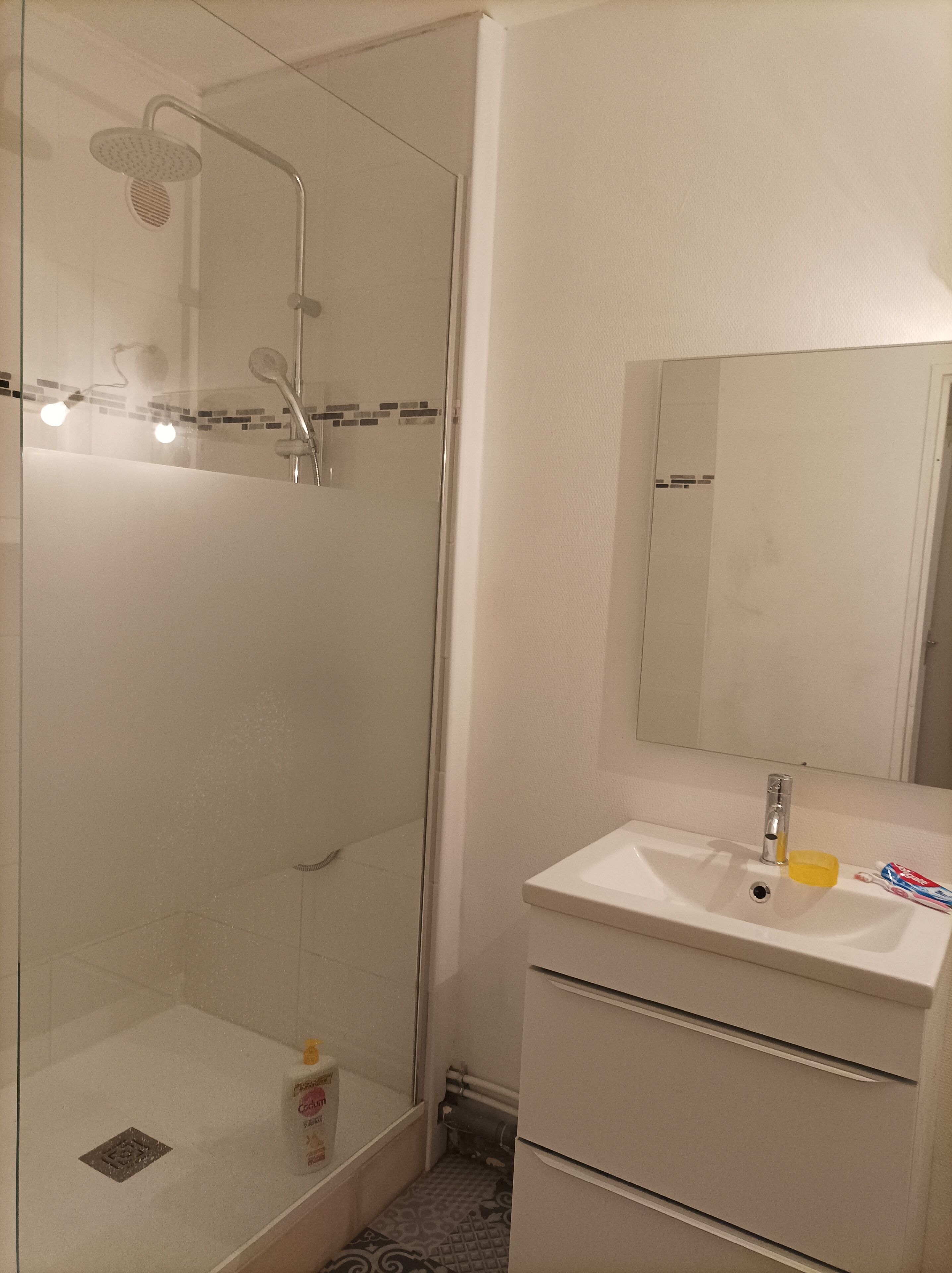 Douche, sèche-cheveux, serviettes fournies, papier toilette